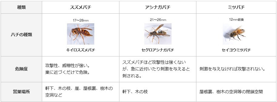 蜂の種類.jpg