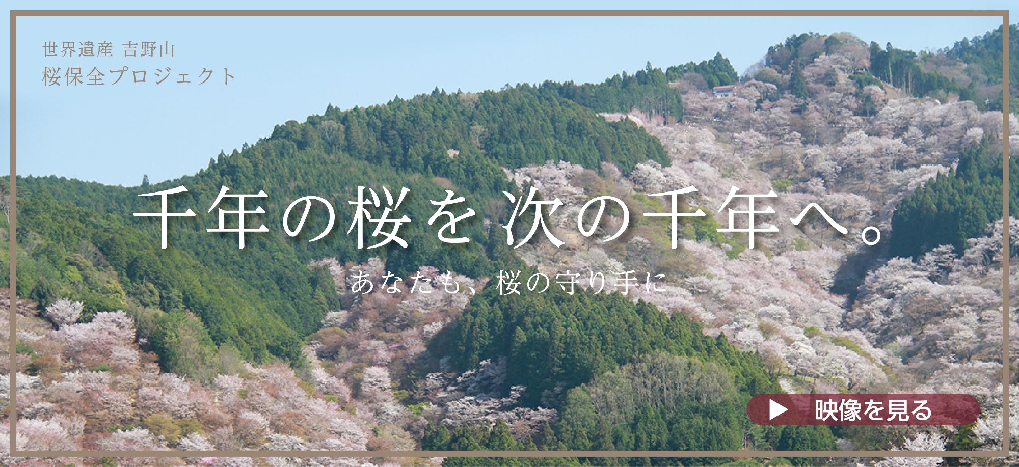 吉野桜寄附／吉野町公式ホームページ