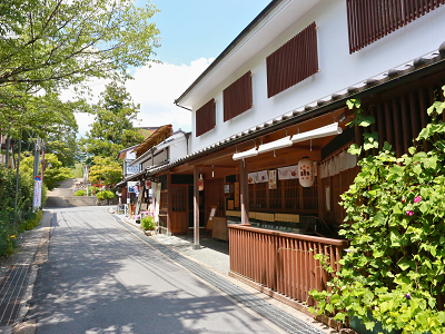 吉野山中町の様子。手前には吉野本葛で有名な中井春風堂と奥には蔵王堂の階段が見える。