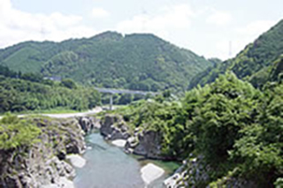 山沿いを流れる川の周りにある森林の写真
