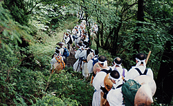 植物が生い茂る森の中を、白い服を着た大勢の人々が、1列で山を下っていっている写真