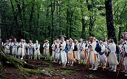 緑色に生い茂った森の中で、白い服を着た沢山の人達が、杖を手にして立っている写真