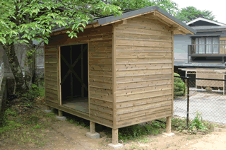 樹木の下に建っている、扉がない、木造小屋の写真