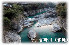 森にある断崖絶壁の下で、青緑色をして澄んだ川を、上から写した写真(吉野川(宮滝))