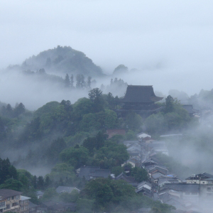 数々の木々や建物が、雲海で覆われている様子を、上から撮った写真