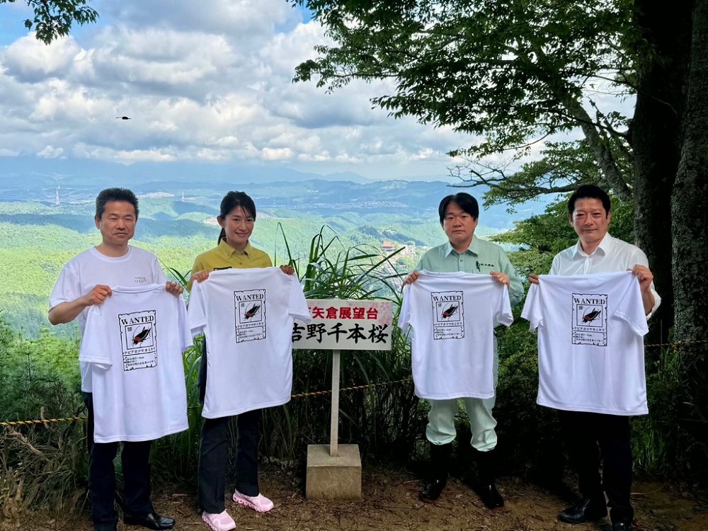クビアカツヤカミキリ対策吉野山視察