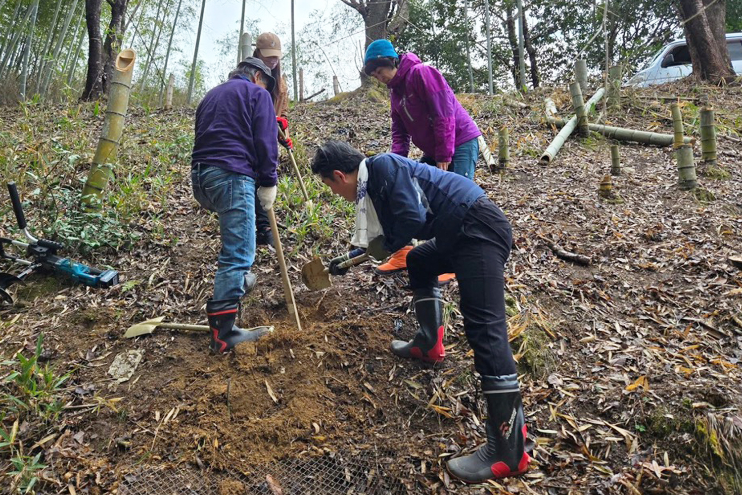 短期滞在プログラムの様子。山の中で男女4名が植樹をしている様子。