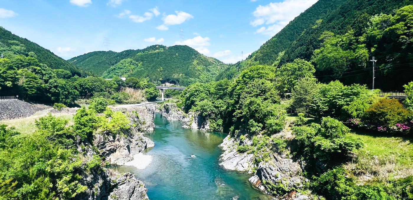 新緑の時期に撮影された宮滝の写真