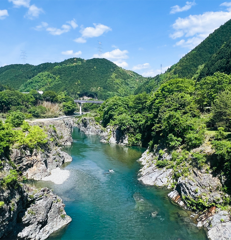 新緑の時期に撮影された宮滝の写真