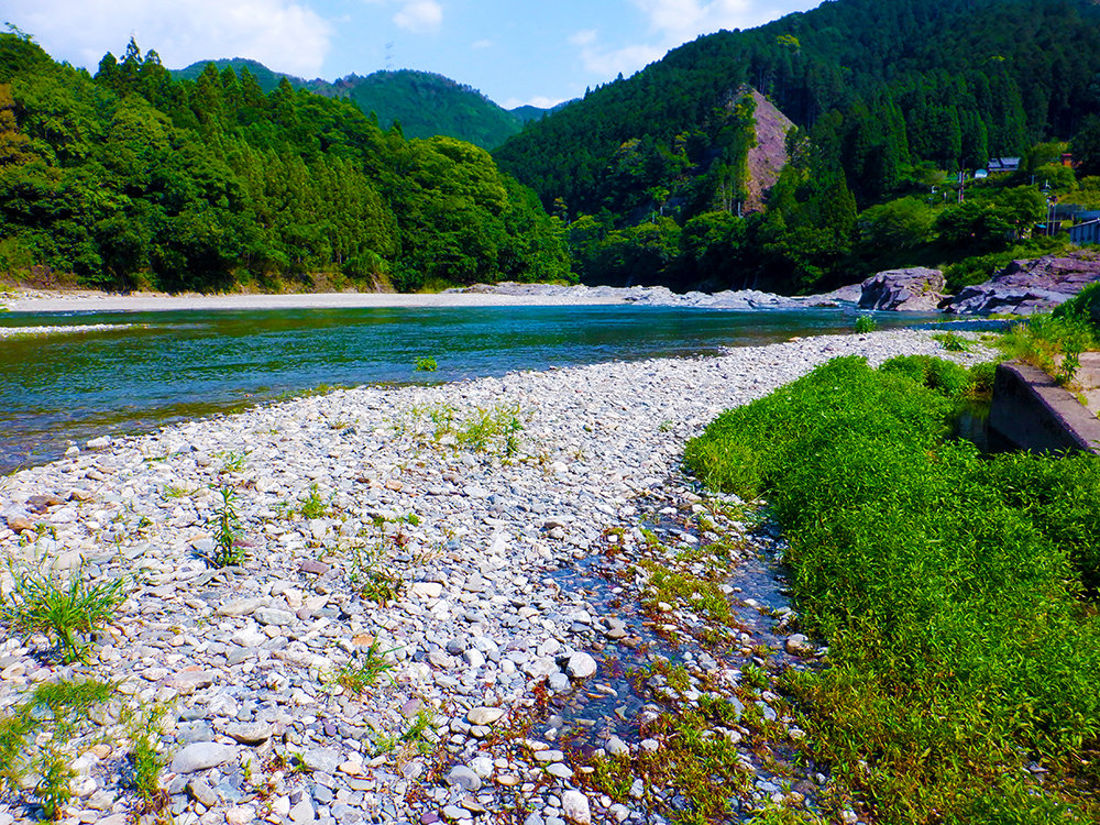 吉野川上流側より撮影された、御園川の家付近の河川敷の風景写真