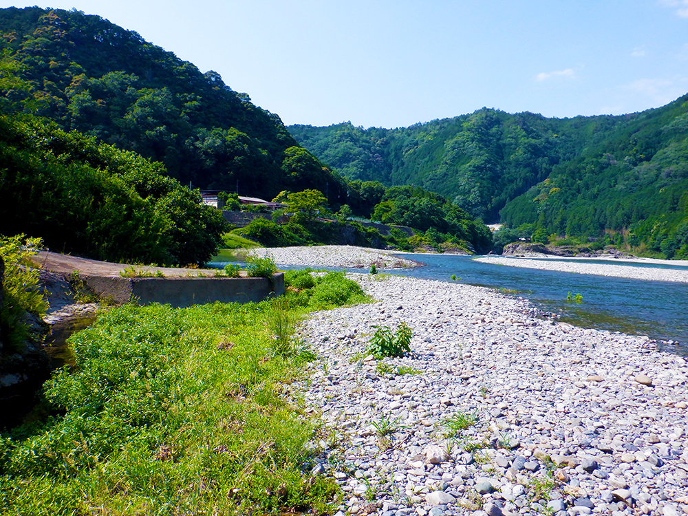 吉野川下流側より撮影された、御園川の家付近の河川敷の風景写真