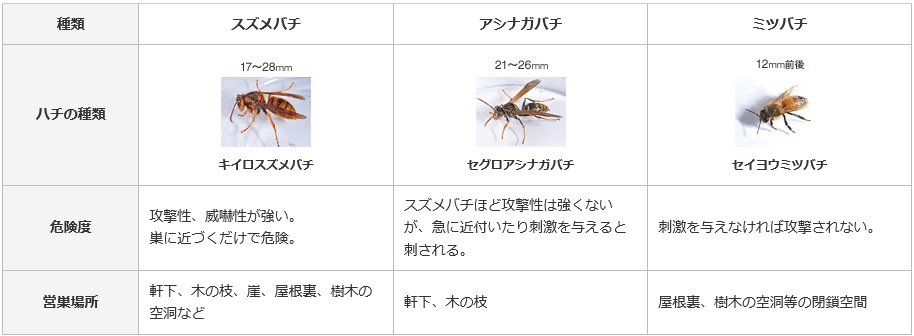 蜂の種類についての表