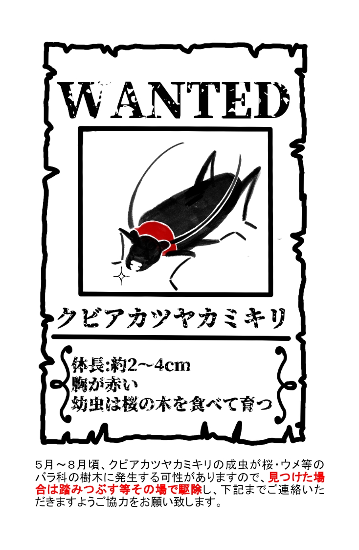 クビアカ注意