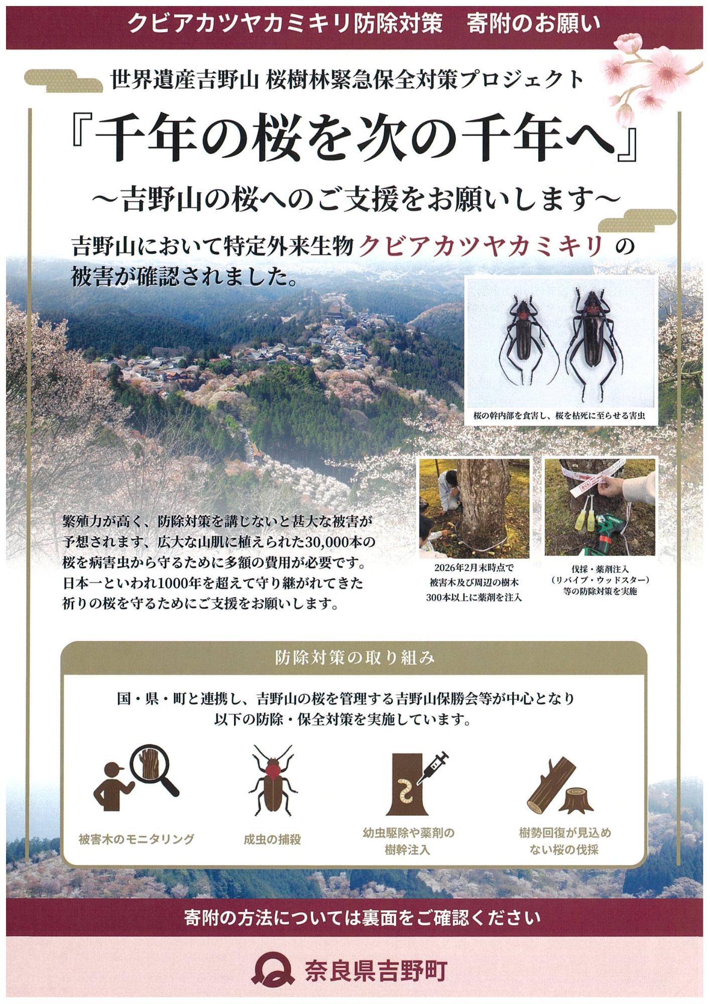 クビアカツヤカミキリ防除対策プロジェクト表