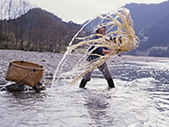 遠方に山々が見える浅い川の中で、1人の男性が、半円形に広がった白くて細長い物体を持っている写真
