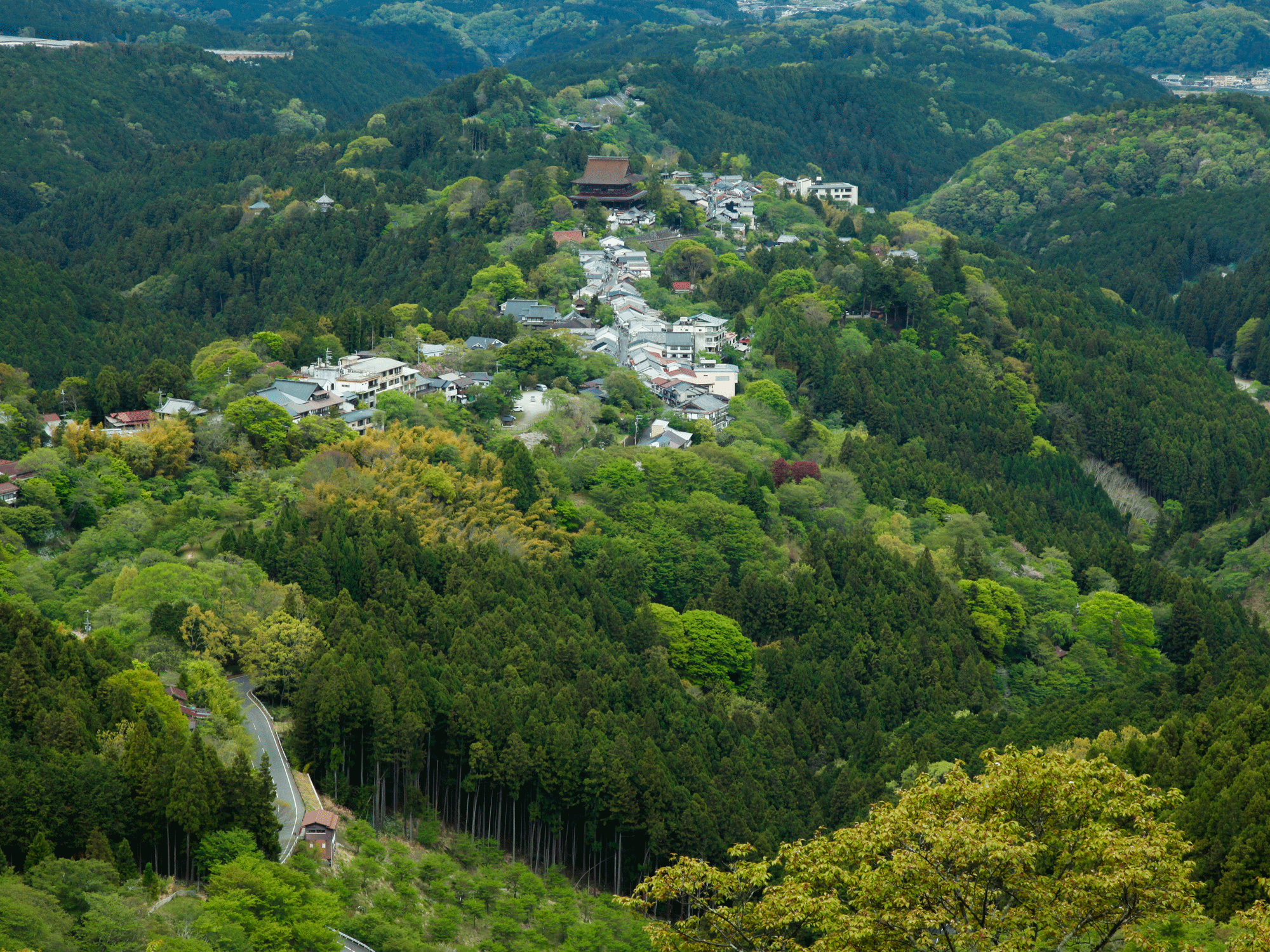 新緑の吉野山全景写真