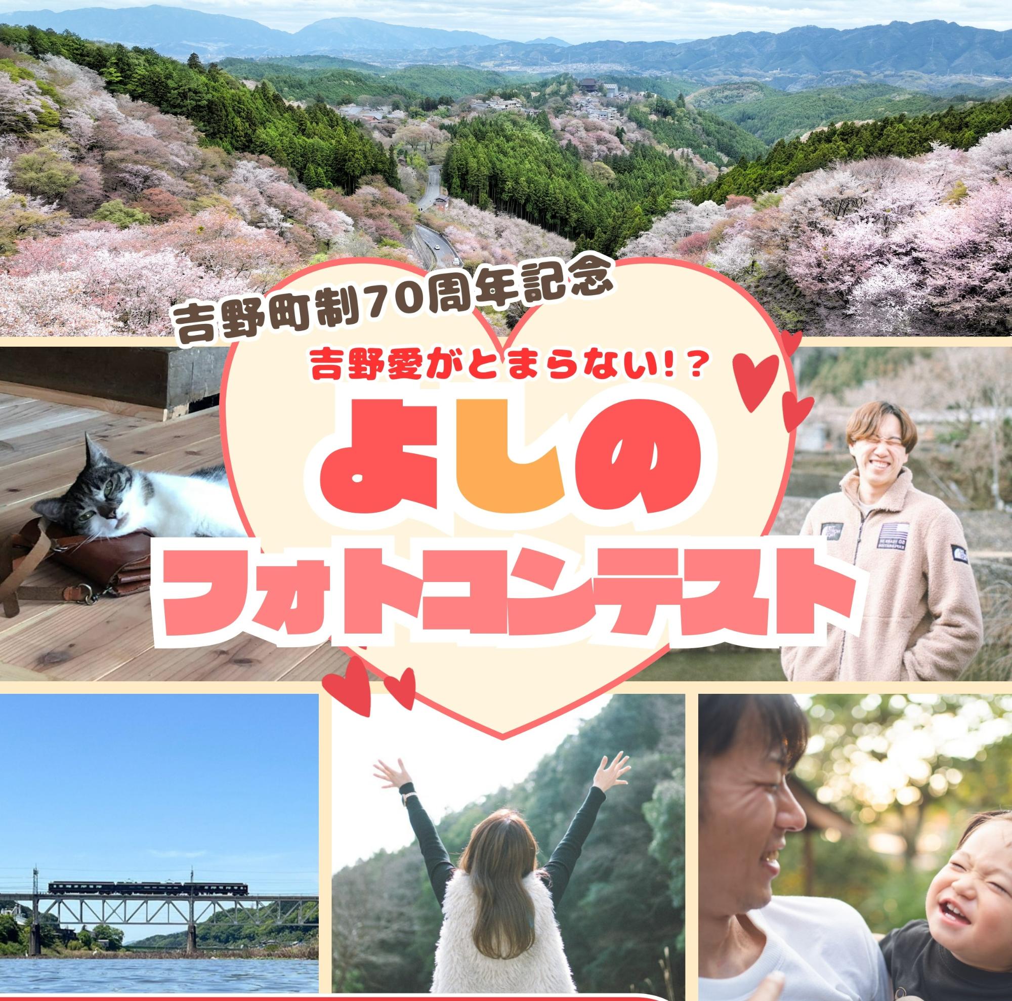フォトコン