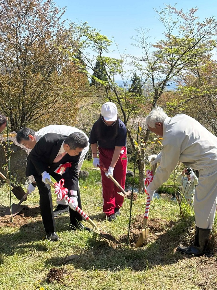 西行桜の森まつり