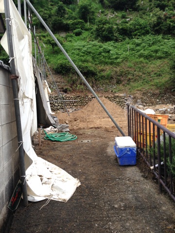 家屋解体後の土地の写真