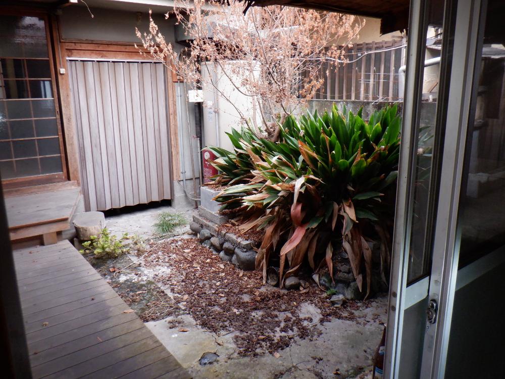 detached 上市・吉野