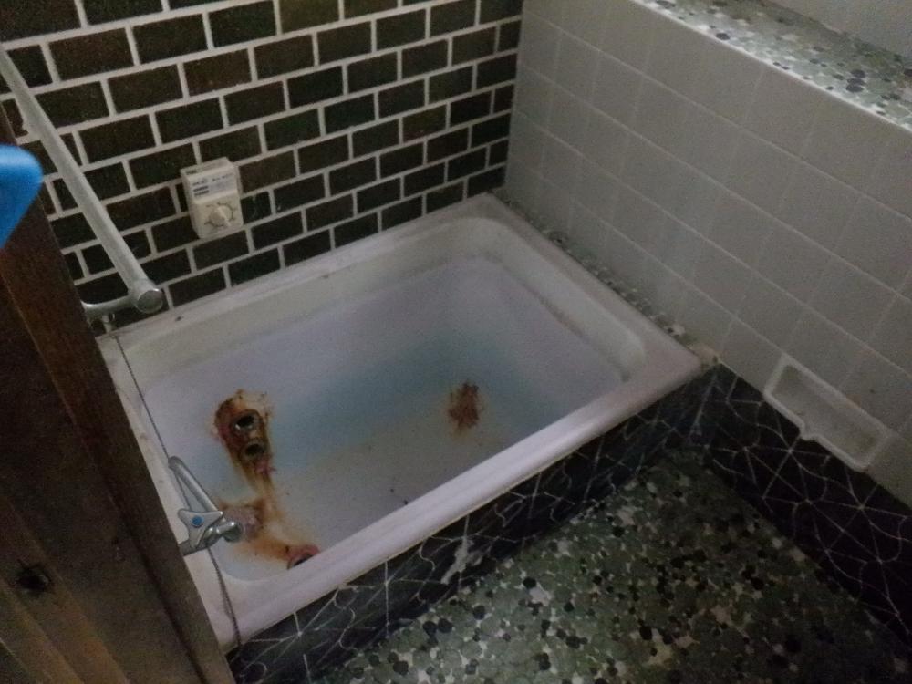 detached 上市・吉野