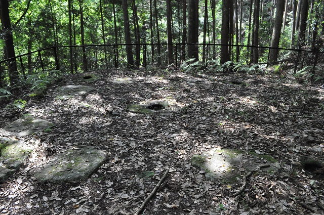 礎石が残る龍門寺の塔跡の写真