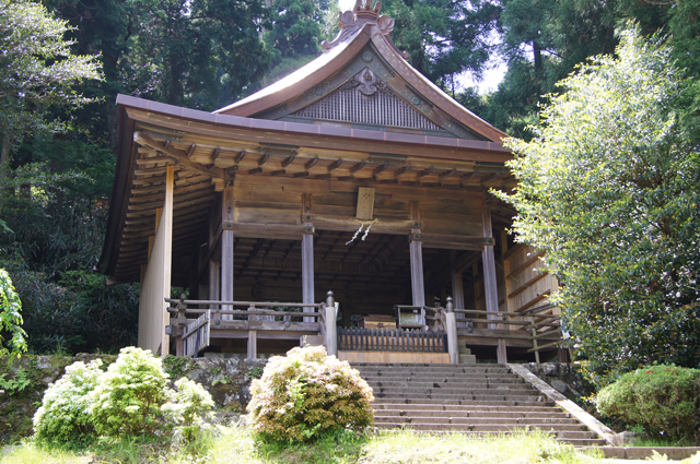 木々に覆われた社と石段を仰ぎ見た様子の写真