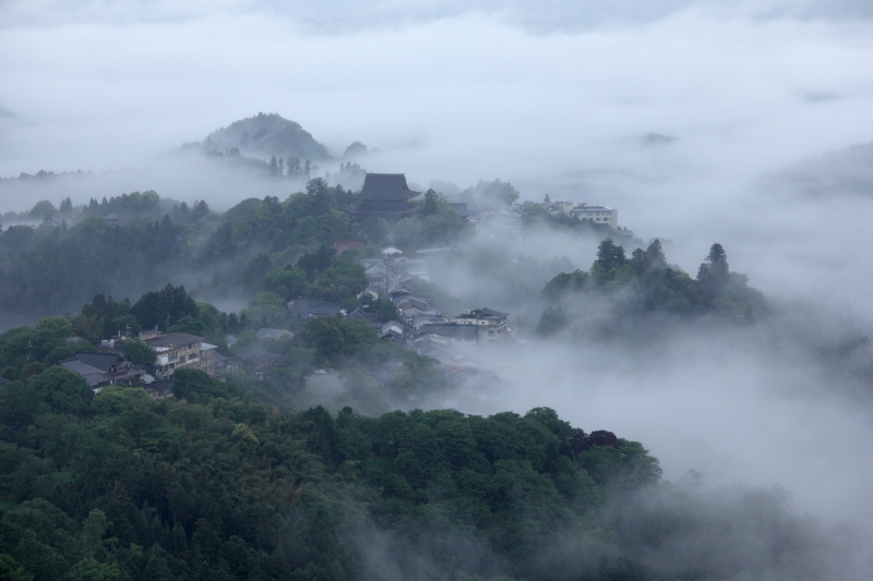 緑深い山々の尾根を静かに覆う雲海の写真