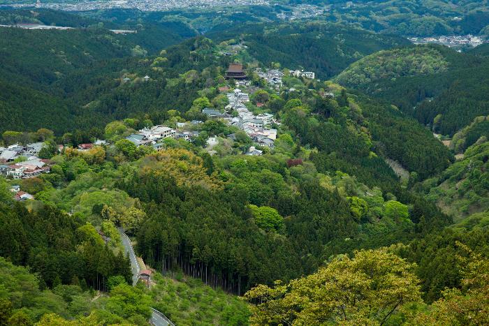 夏の吉野山